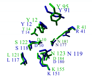 active site image